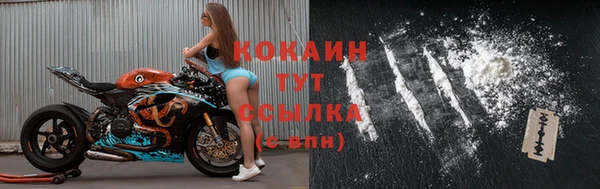 дживик Алексин